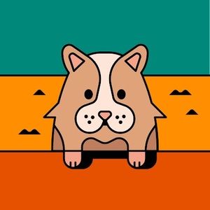 Meet your Posher, Amine